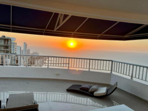 Palmetto Penthouse Deluxe